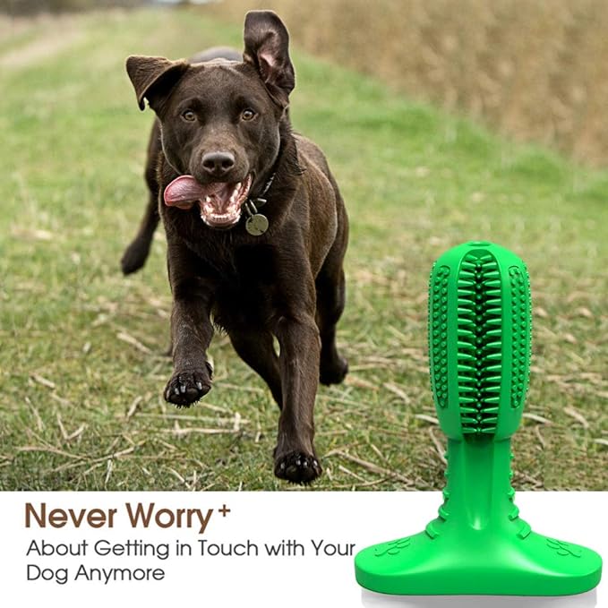 Cepillo De Dientes Para Perros